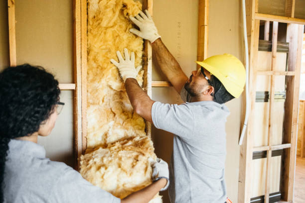 Types of Insulation We Offer in Windsor, CA